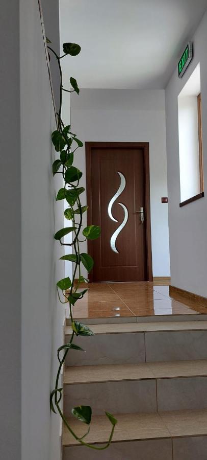 Agropensiunea Olteanu Niculitel Exterior foto