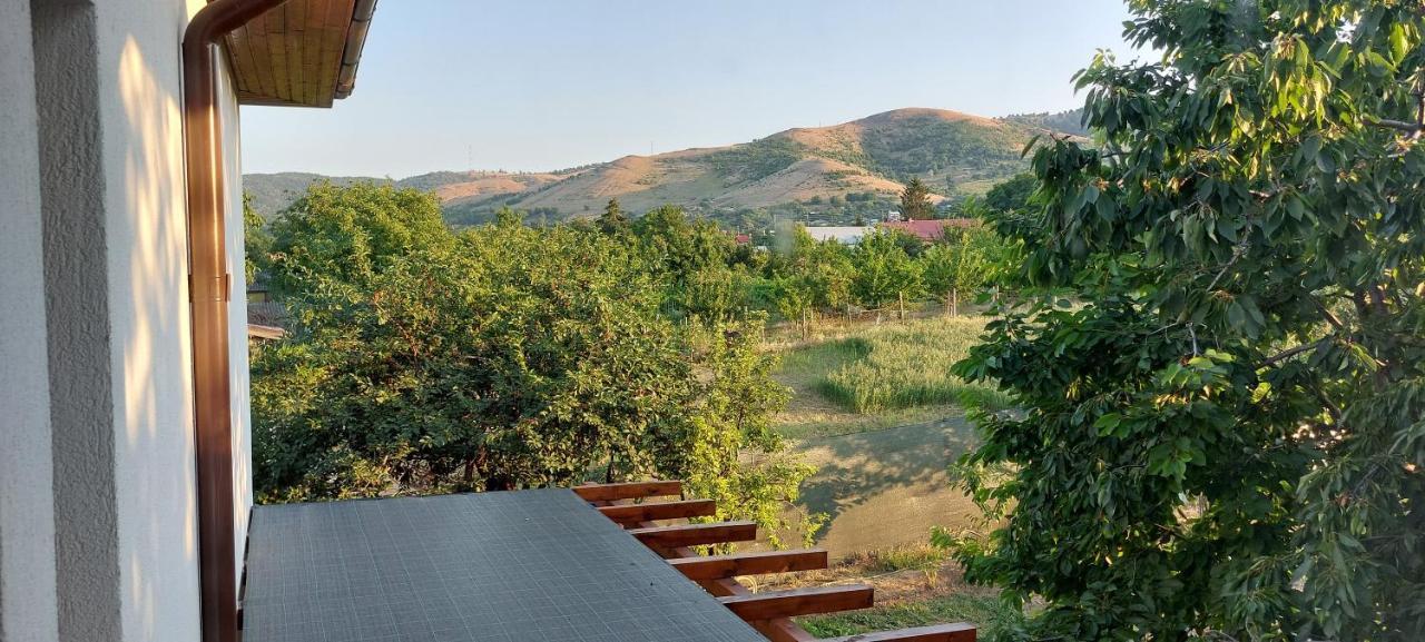 Agropensiunea Olteanu Niculitel Exterior foto