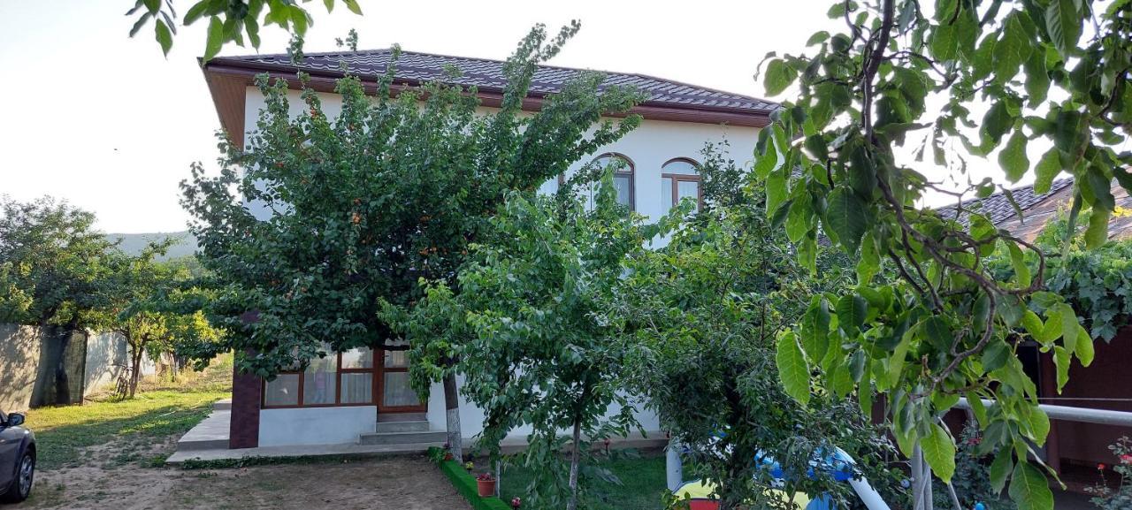 Agropensiunea Olteanu Niculitel Exterior foto